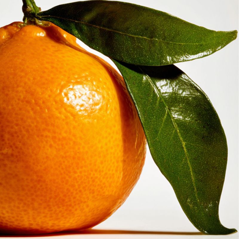 Australian Tangelo Fruit used in skincare for radiant skin. Beautiful shot of fruit with leaves