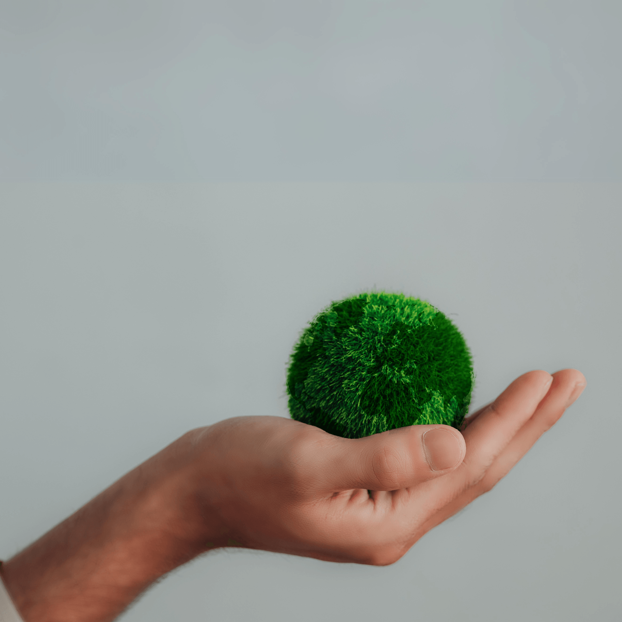 Sustainable World. Hand holding small green ball representing world